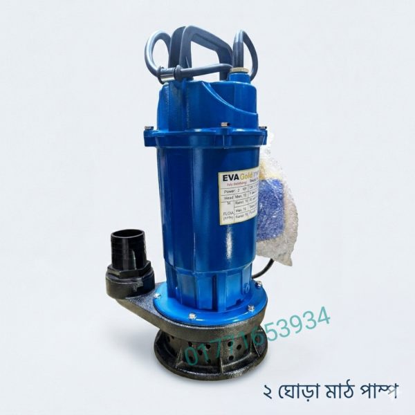 2 HP math pump
